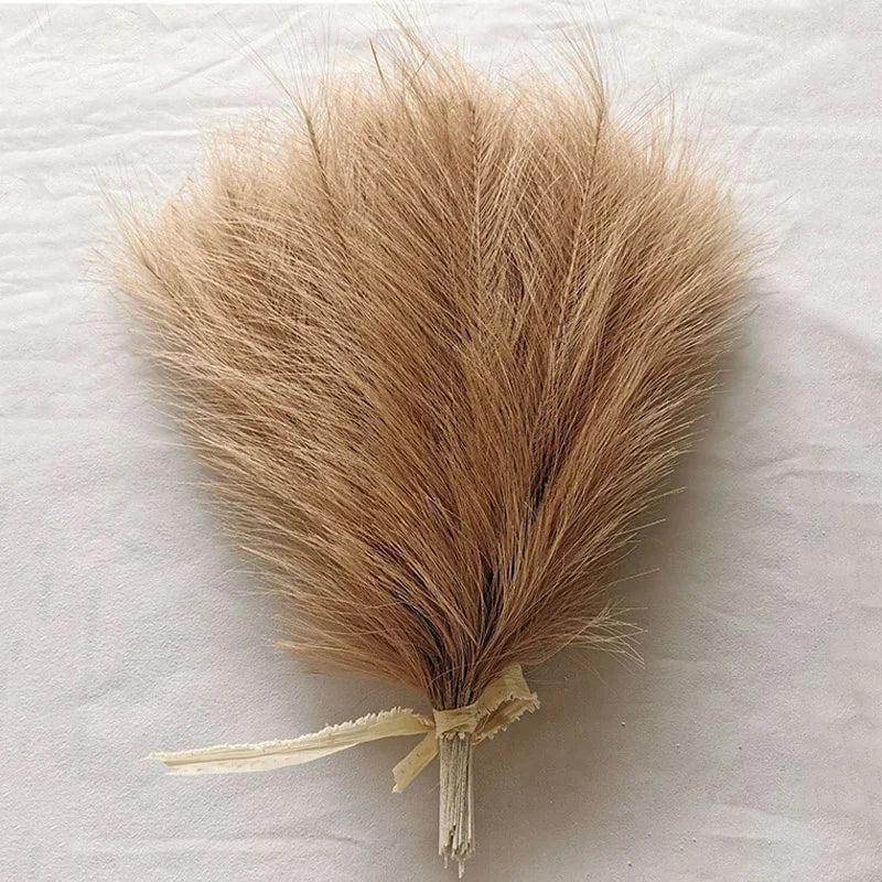 Fausse Pampas 35cm 10 pieces