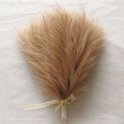 Fausse Pampas 35cm 10 pieces