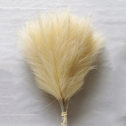 Fausse Pampas 35cm 10 pieces