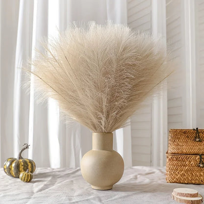 Fausse Pampas 35cm 10 pieces